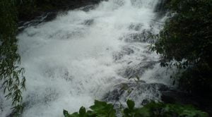 Kanjirakolly waterfalls