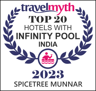 hotels with infinity pool in India